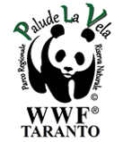 WWF Taranto
